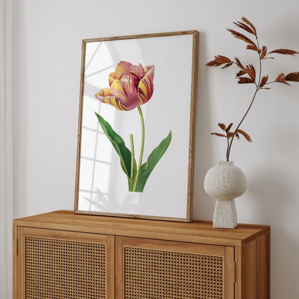 Botanical Variegated Tulip Illustration – Wall Decor