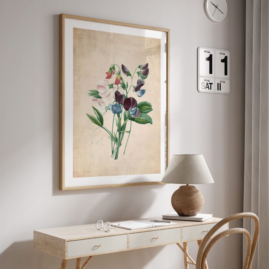 Botanical Sweet Pea Flowers – Wall Painting