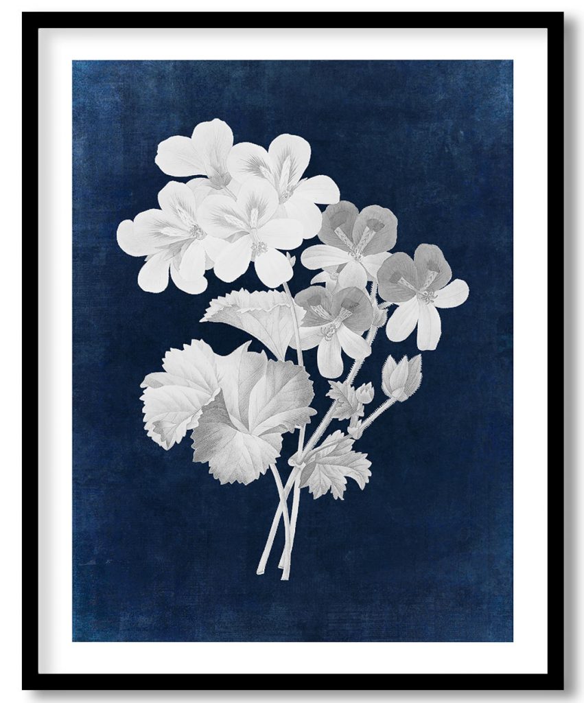 Crane's bill flower - Indigo Pressed