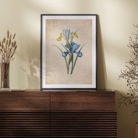 Botanical Blue and Yellow Irises – Home Decor