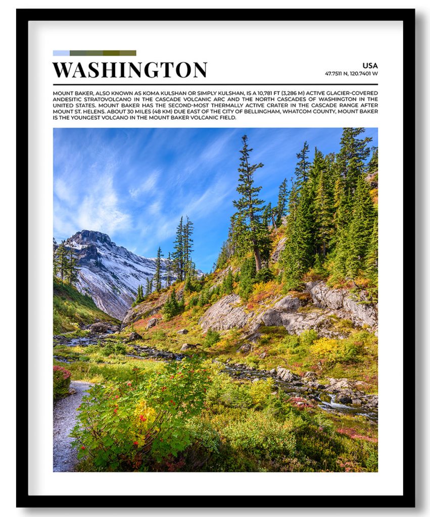 Washington, USA pantone poster