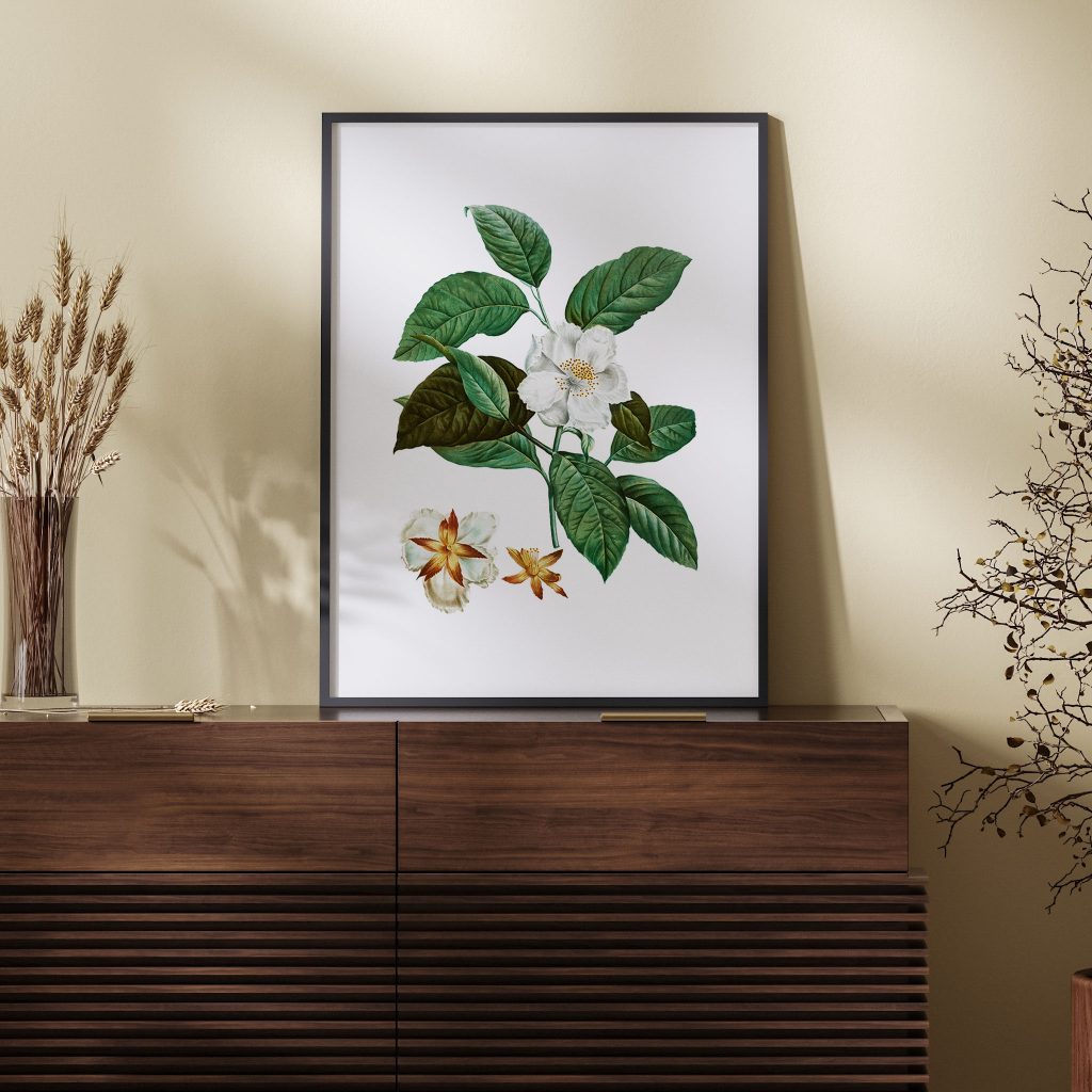 Botanical White Flowers Studies – Wall Decor