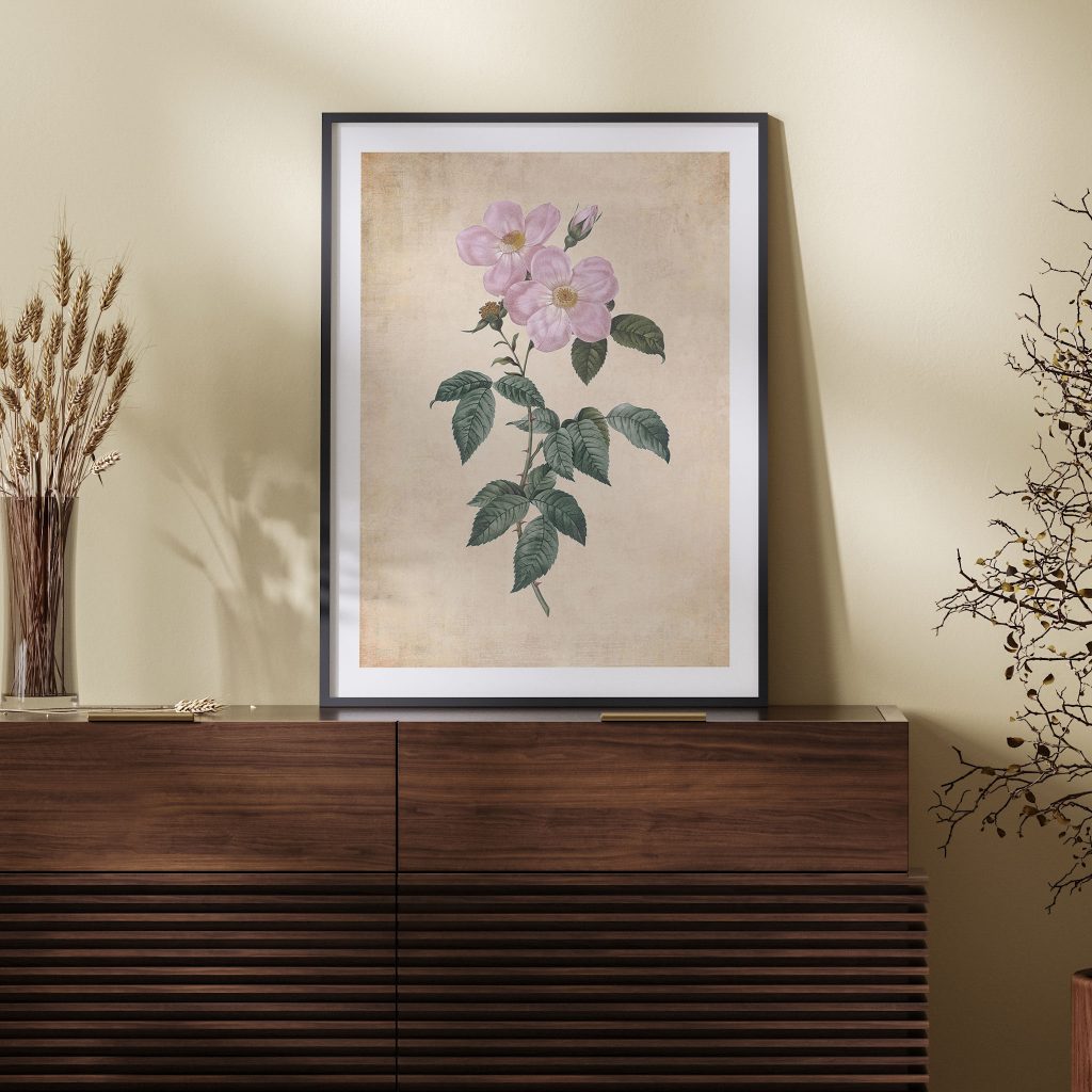 Botanical Pink Wild Roses and Thorns – Wall Art