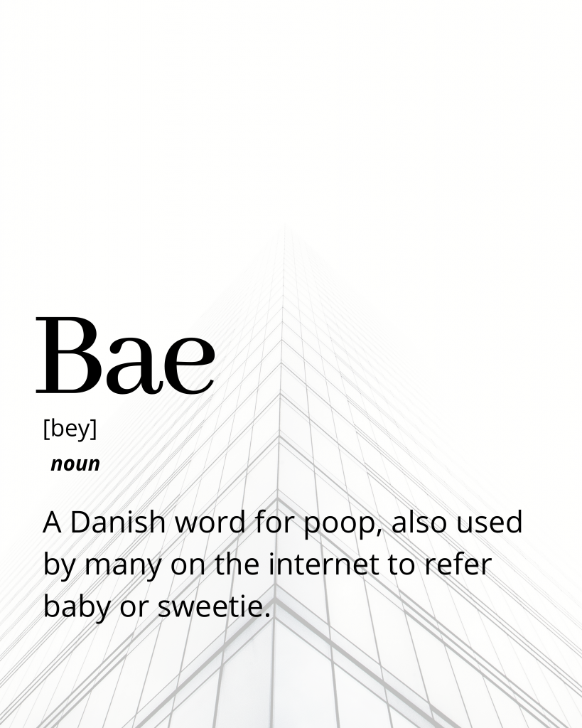 Bae &#8211; Funny Dictionary Definition