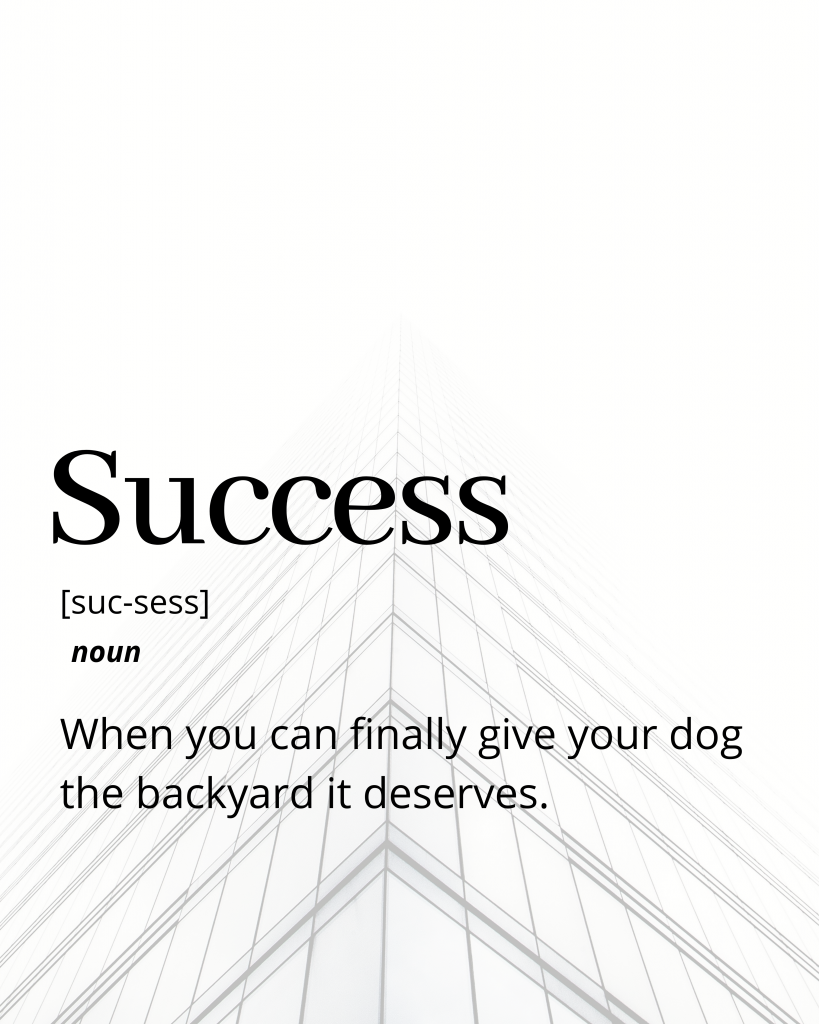 Success – Funny Dictionary