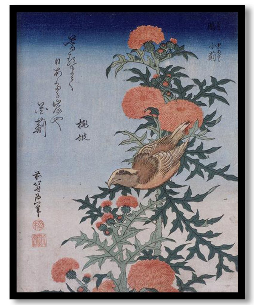 Crossbill and Thistle by Katsushika Hokusai (1834)