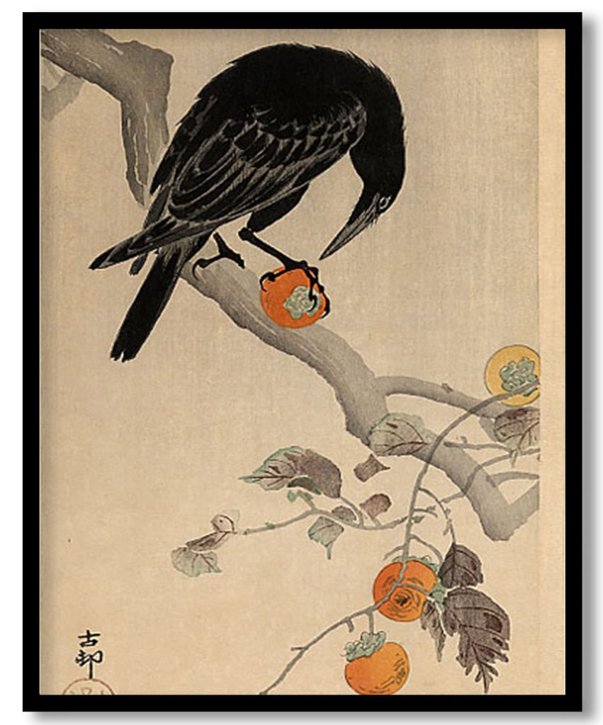 Crow eating a Persimmon by Ohara Koson (1910)