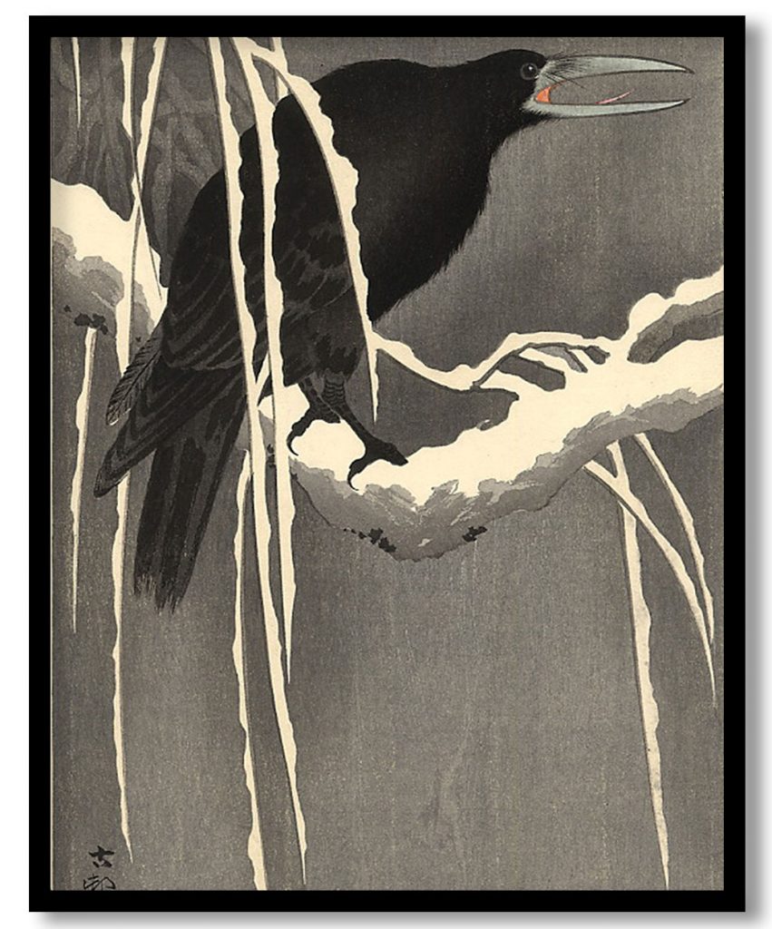 Crow on the snowy branch by Ohara Koson (Date Unknown)