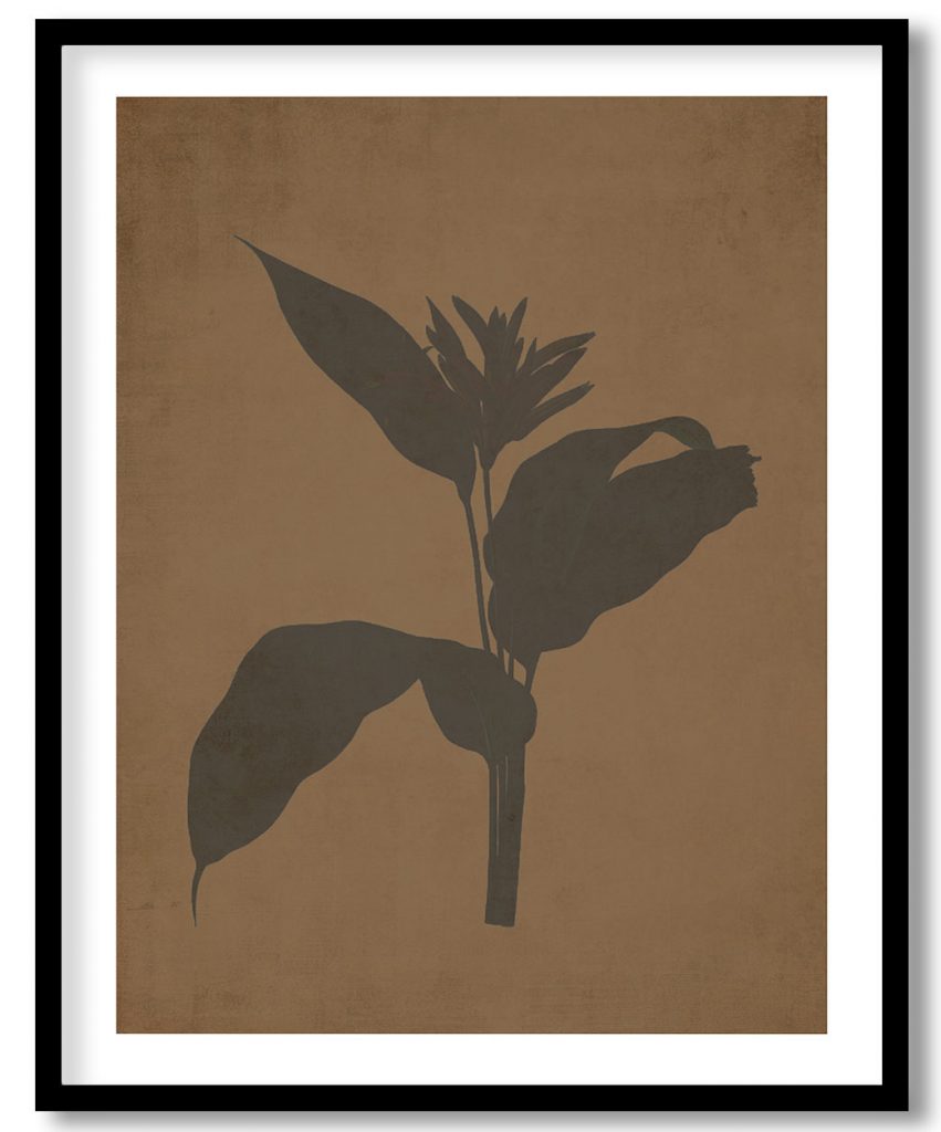 Lobster claws - Walnut Pressed