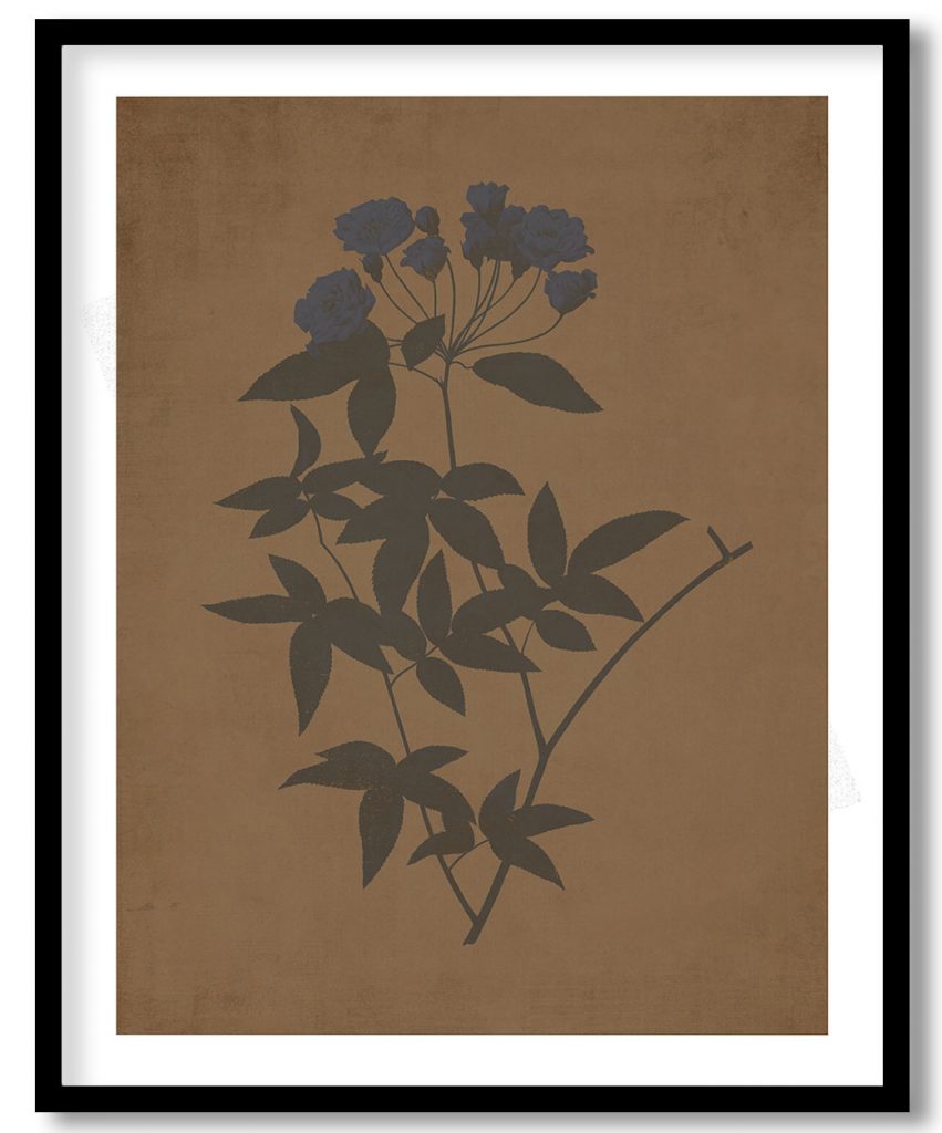 Lady botanical - Walnut Pressed