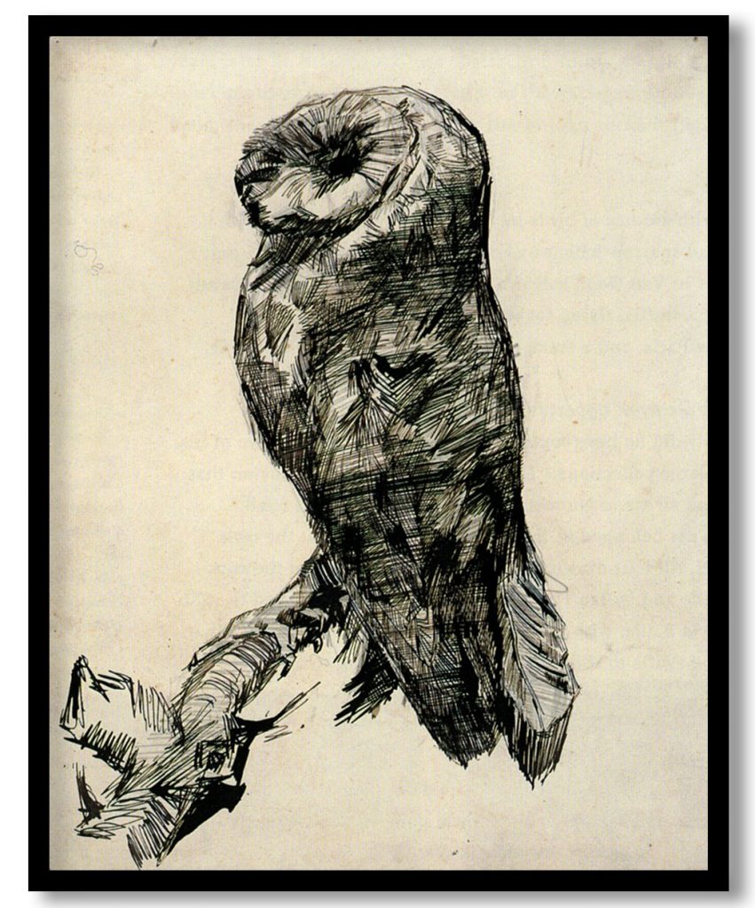 Barn Owl Viewed from the Side by Vincent van Gogh (1887)