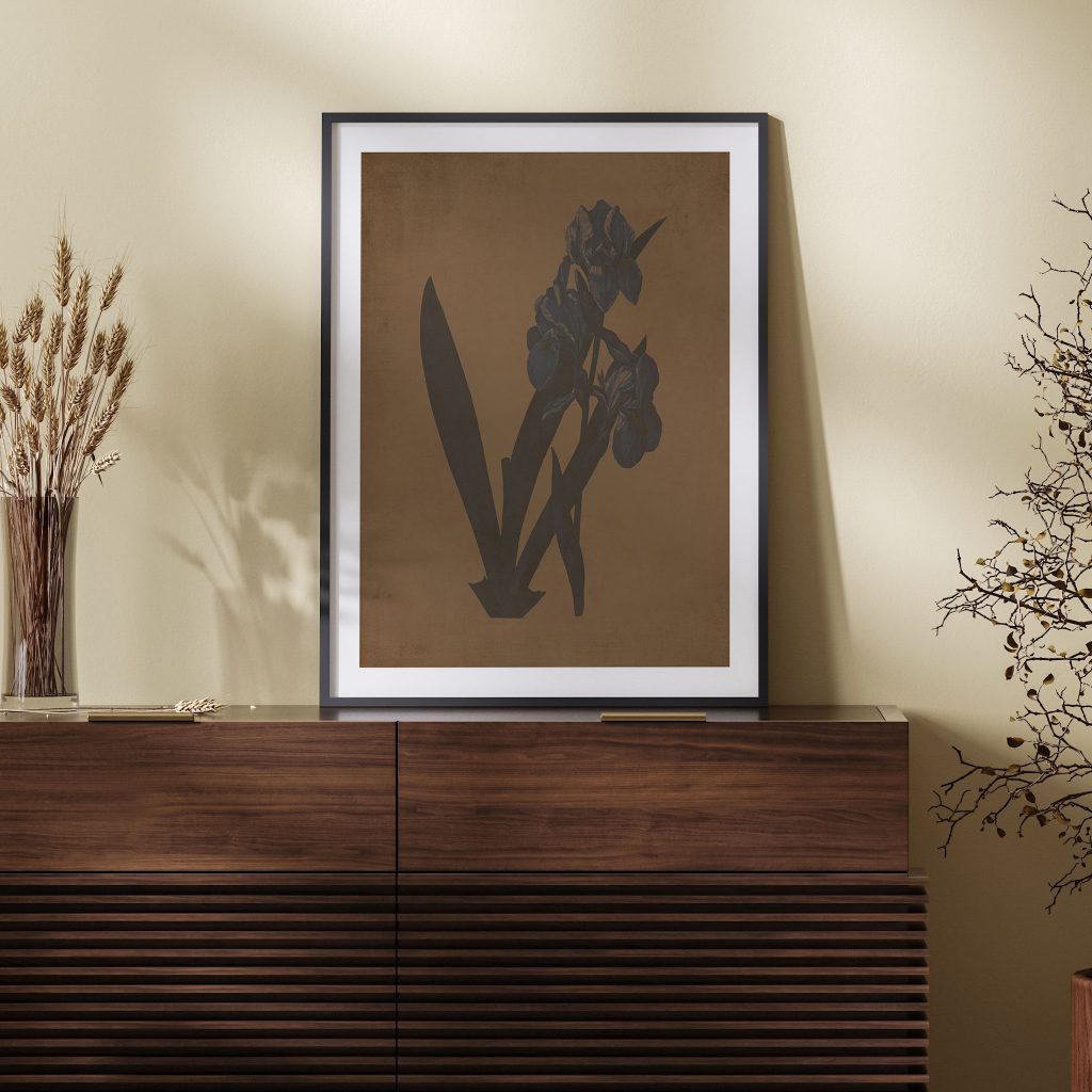 Botanical Dark Iris Flowers – Wall Decor