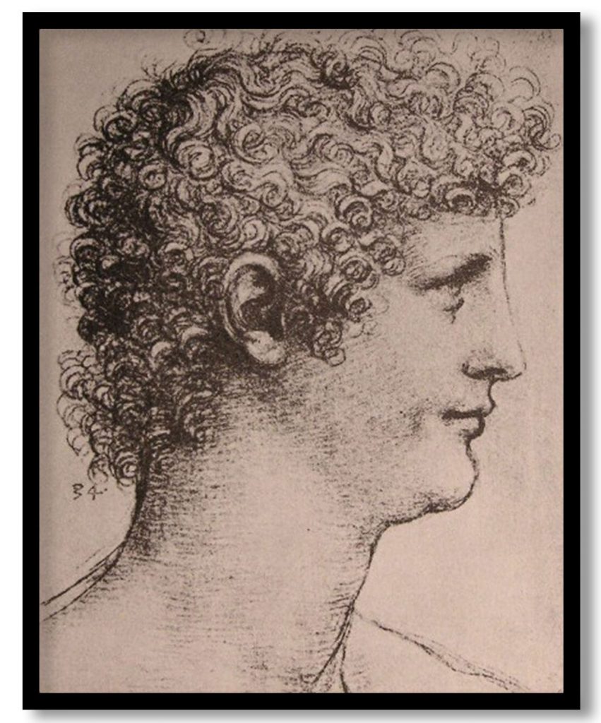 Drawing of Salai by Leonardo da Vinci (1500)