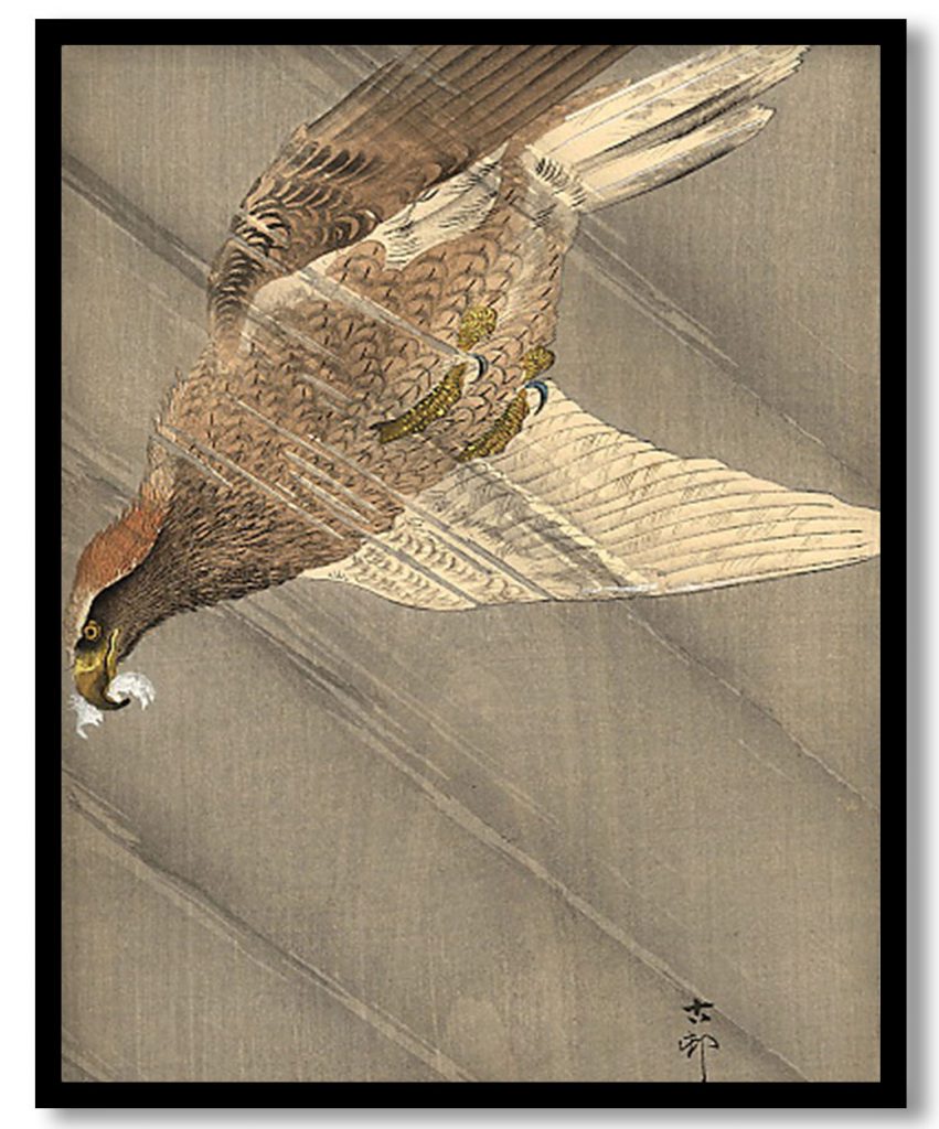 Eagle in descent by Ohara Koson (1905)