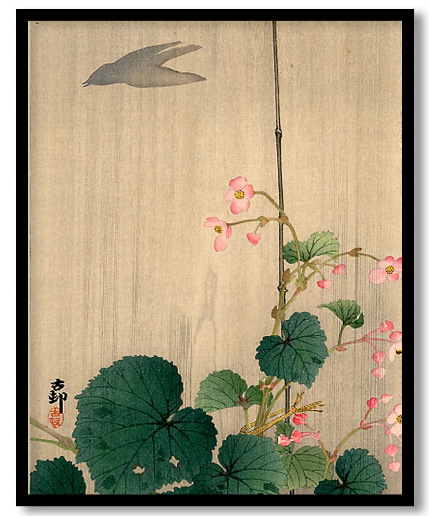 Bird and Begonias by Ohara Koson (Date Unknown)