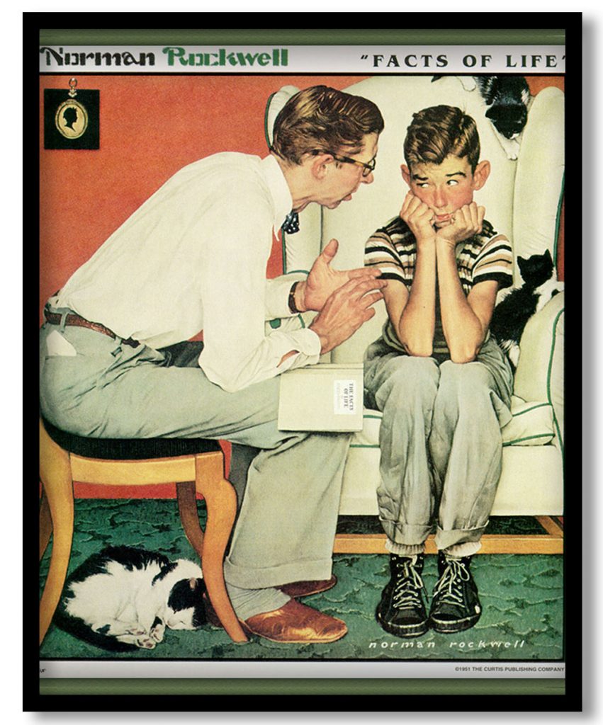Facts Of Life by Norman Rockwell (1956)