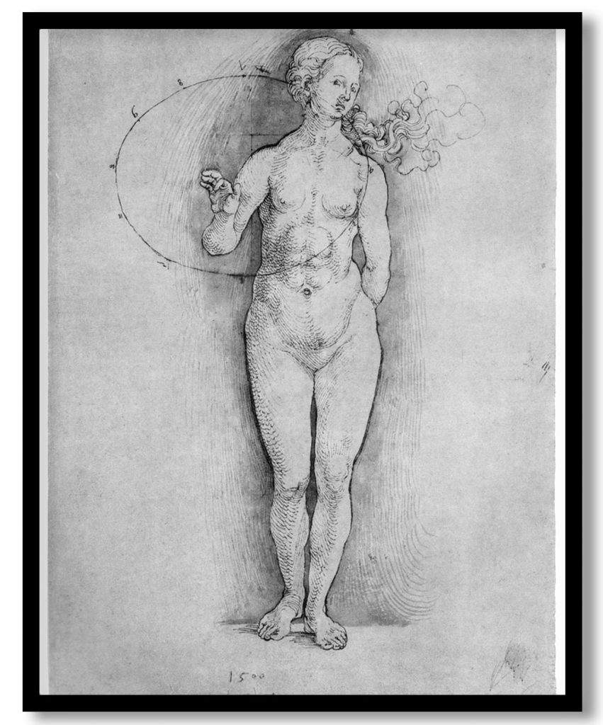 Female Nude by Albrecht Durer (1506)