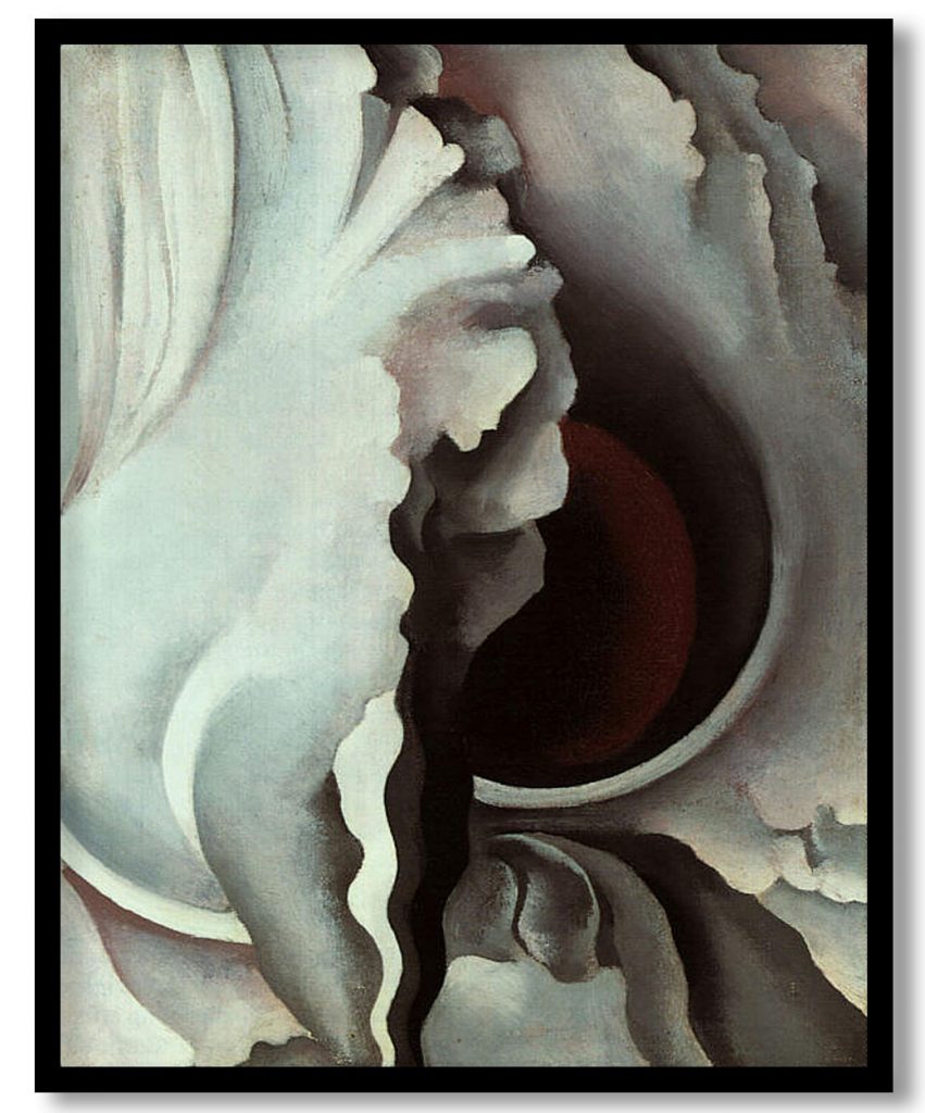 Black Iris by Georgia O'Keeffe (Date Unknown)