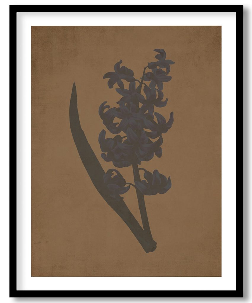 Flower #101 - Walnut Pressed