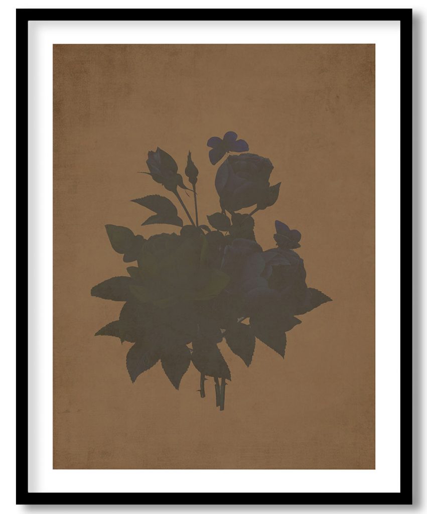 Flower #102 - Walnut Pressed
