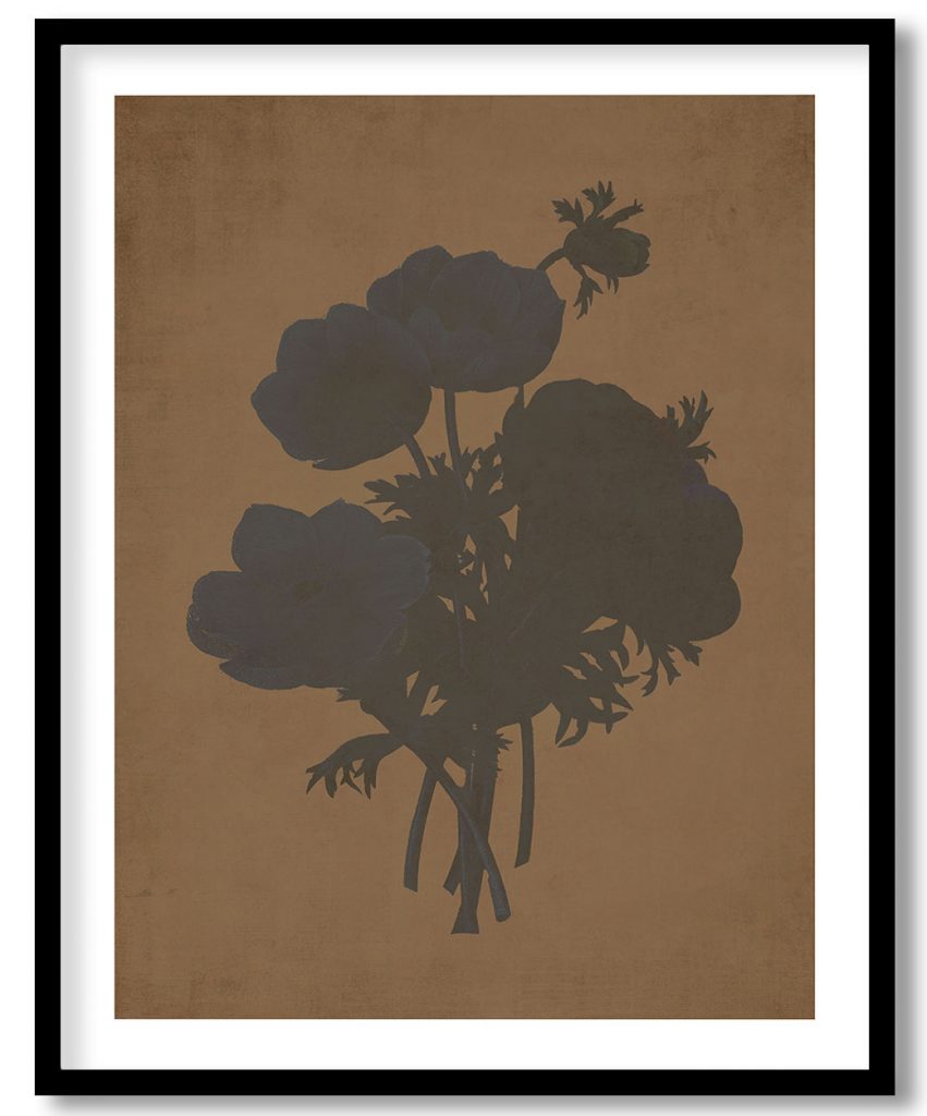 Flower #104 - Walnut Pressed