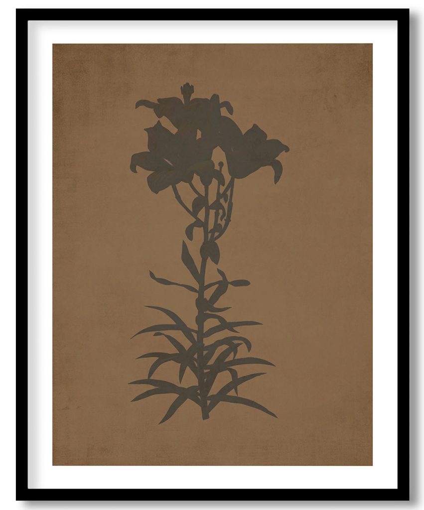 Fire lily - Walnut Pressed