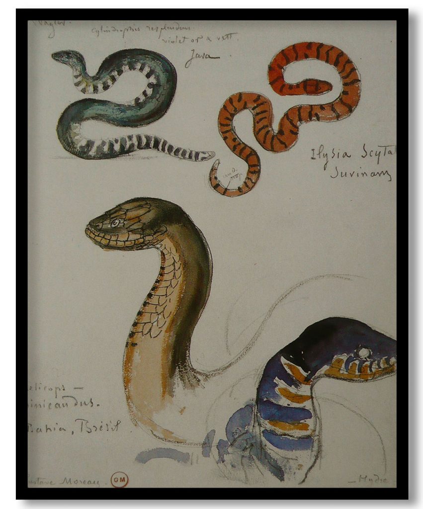 Four studies of snakes by Gustave Moreau (Date Unknown)