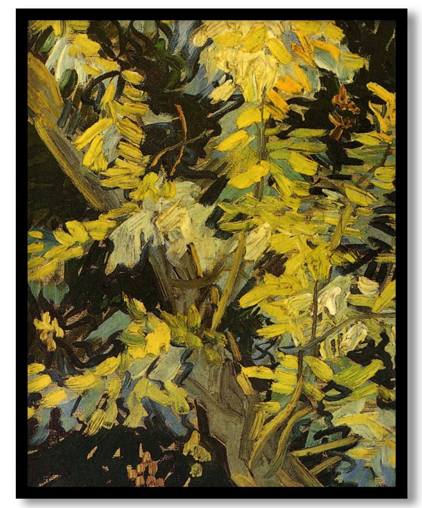 Blossoming Acacia Branches by Vincent van Gogh (1890)