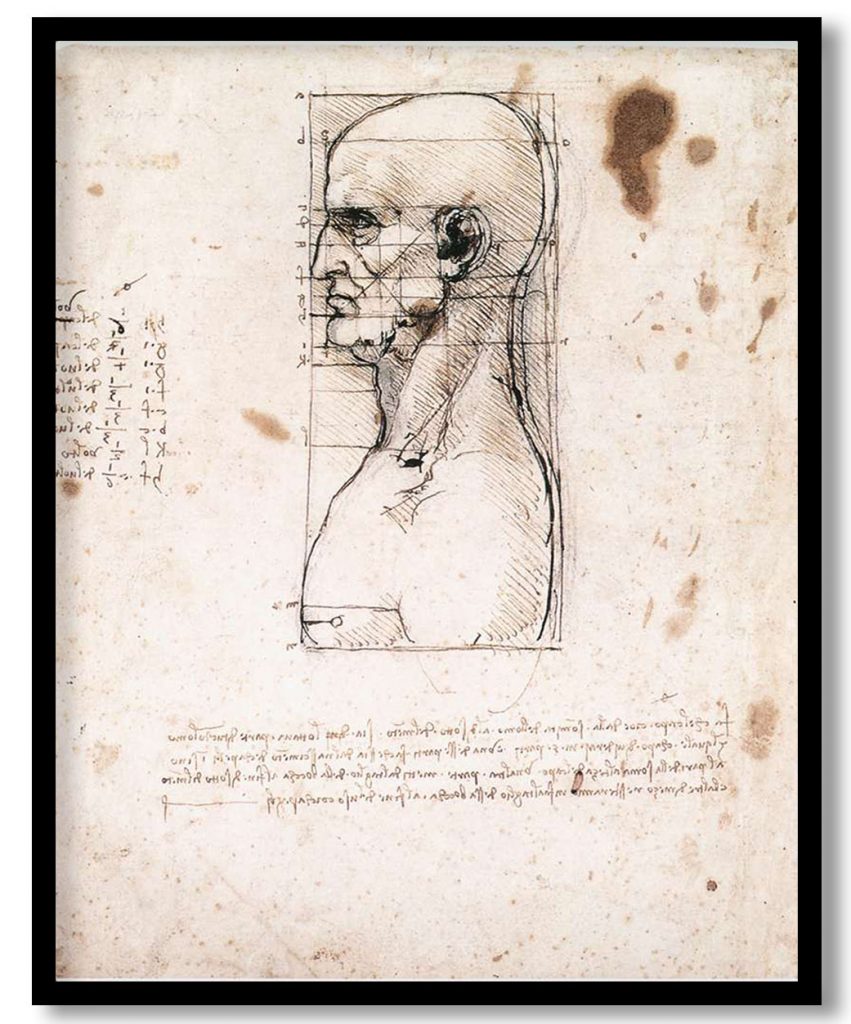 Bust of a man in profile with measurements and notes by Leonardo da Vinci (1490)