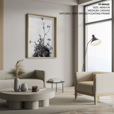 A-500-12.jpg A-500-12.jpg