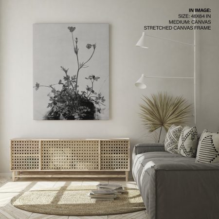 A-500-13.jpg A-500-13.jpg