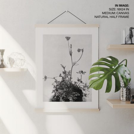 A-500-8.jpg A-500-8.jpg