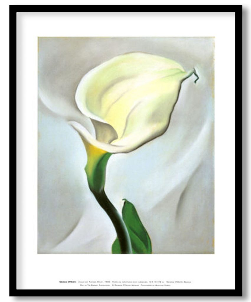 Calla Lily Turned Away by Georgia O'Keeffe (1923)