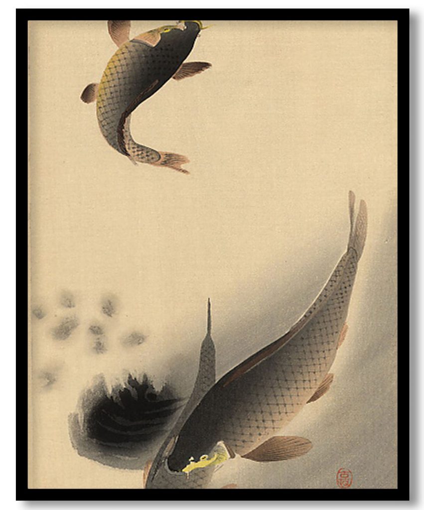 Carp and Bee by Ohara Koson (1910)