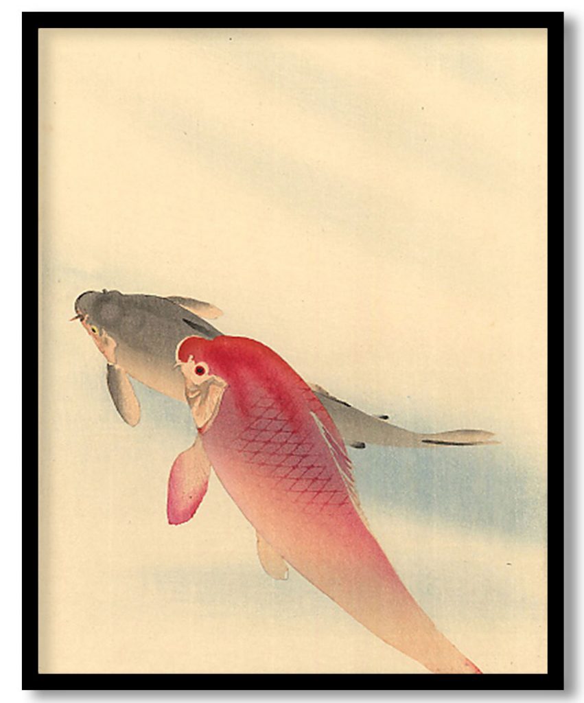 Carps by Ohara Koson (Date Unknown)