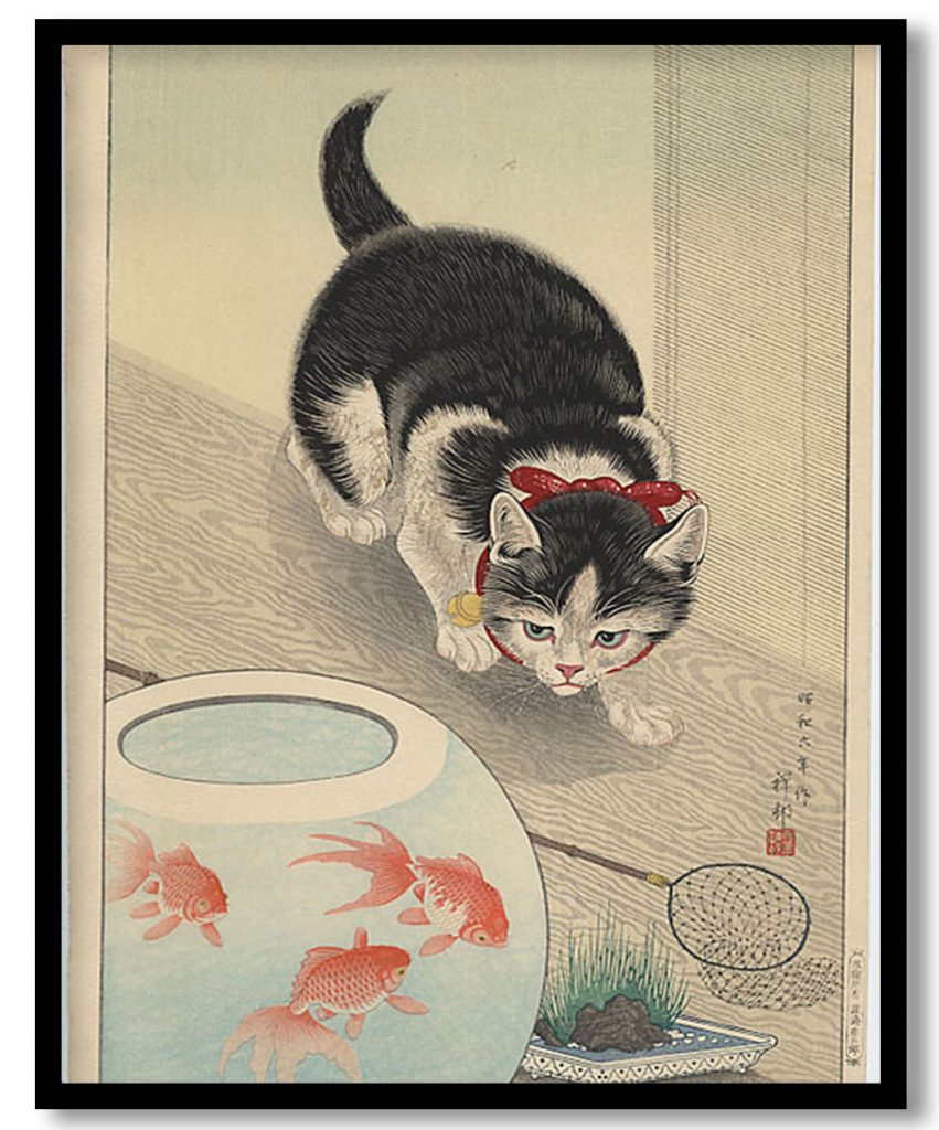 Cat and Bowl of Goldfish by Ohara Koson (1931)