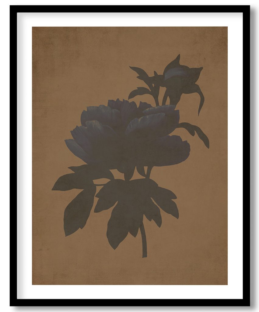 Peony flower - Walnut Pressed
