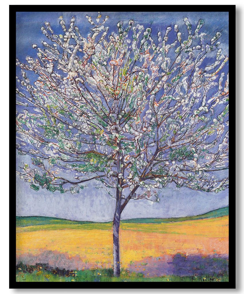 Cherry Tree in Bloom by Ferdinand Hodler (1905)
