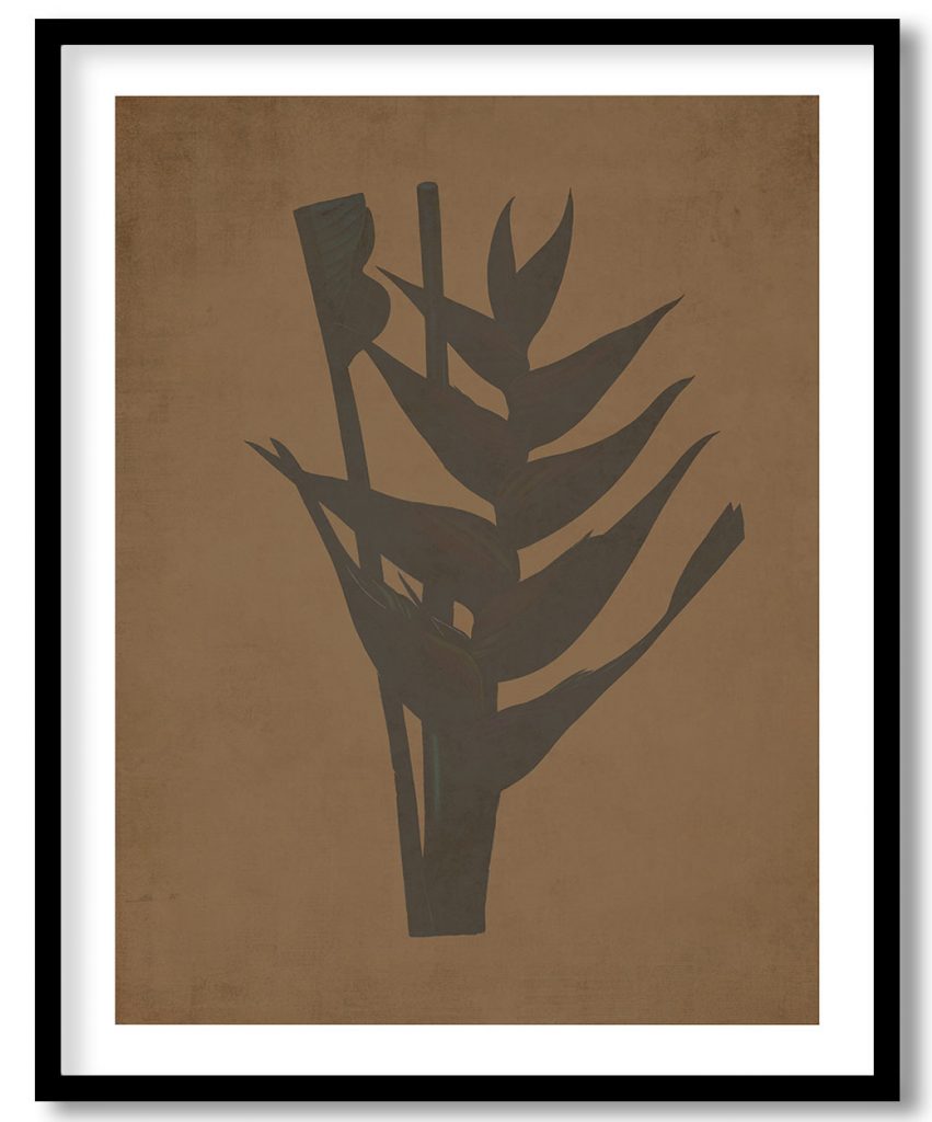 Parrot heliconia  - Walnut Pressed