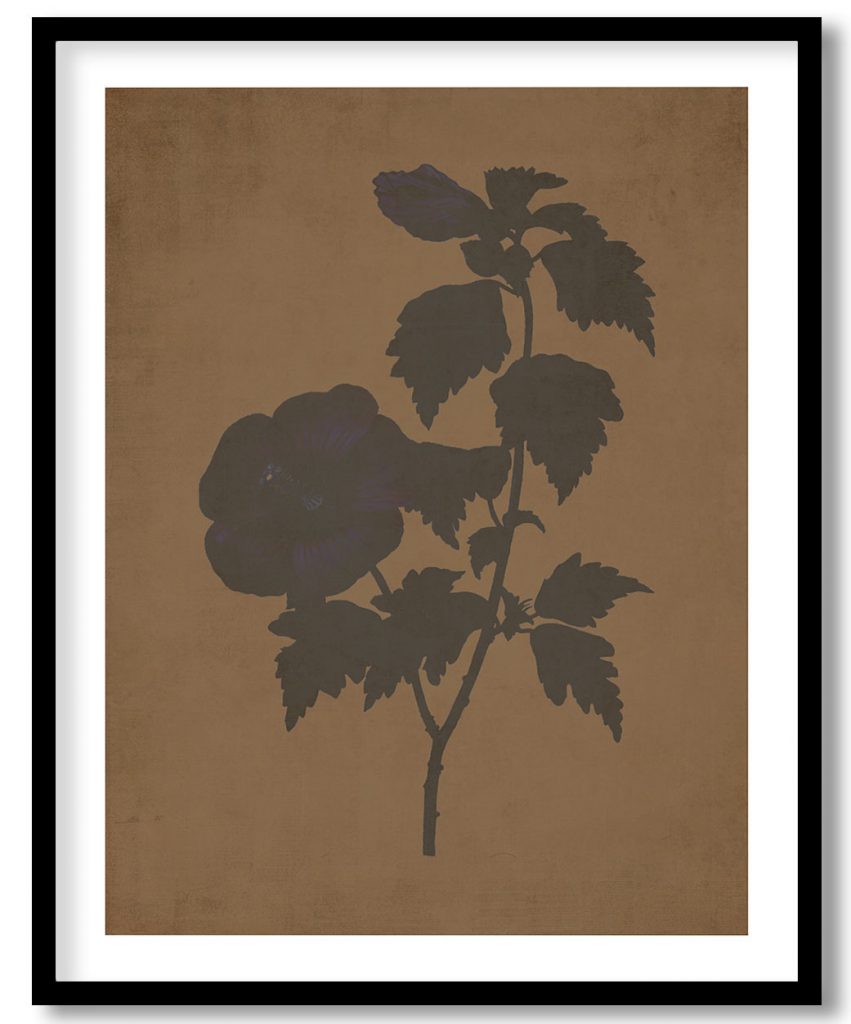 Rose of Sharon - Walnut Pressed