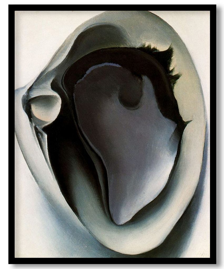 Clam and mussel by Georgia O'Keeffe (1926)