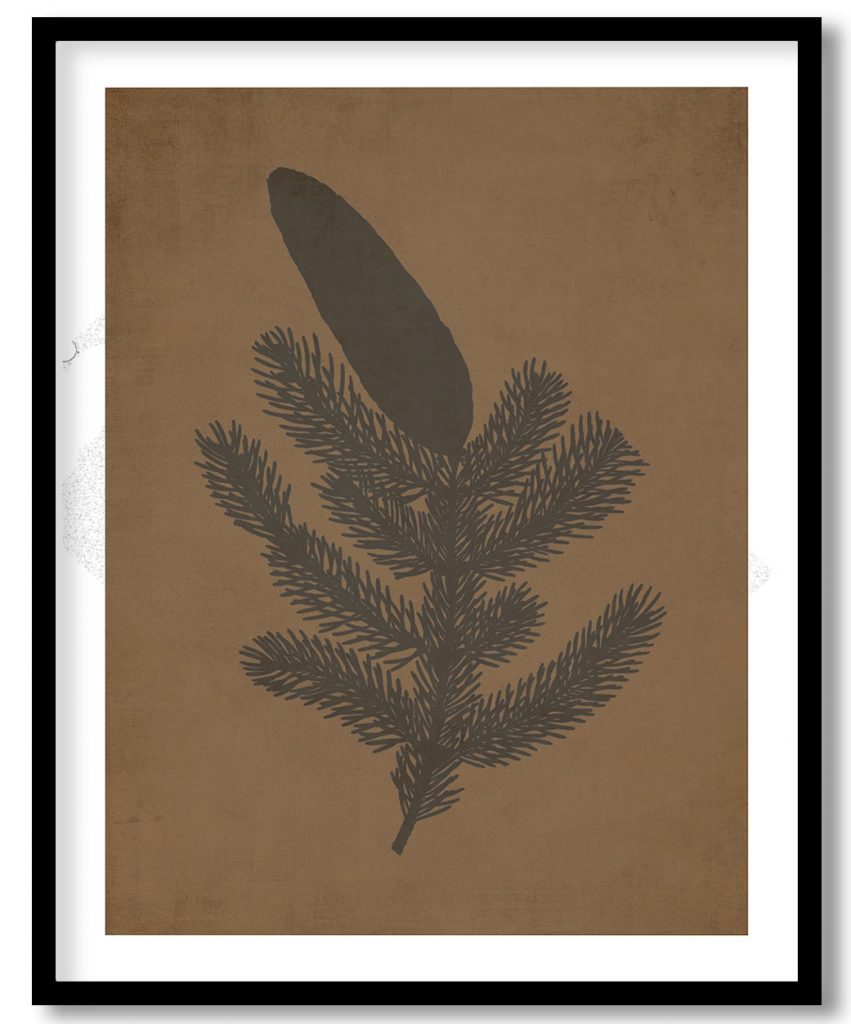 Ocimum Grandiflorum - Walnut Pressed