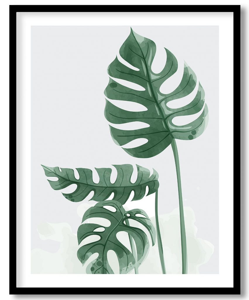 Monstera petals