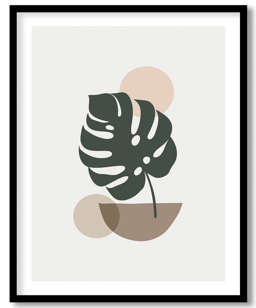 Monstera stalk semi circus