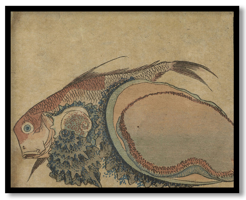 Abalone and Rock Cod by Katsushika Hokusai (early 19th century)