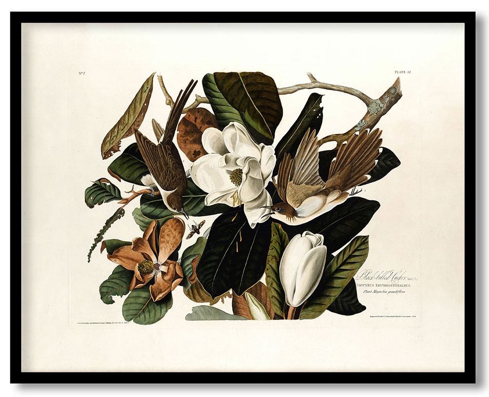 HGGL-ANC-01-085.jpg