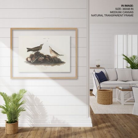 Hampton,Style,Living,Room,Interior,With,Frame,Mockup,,3d,Render