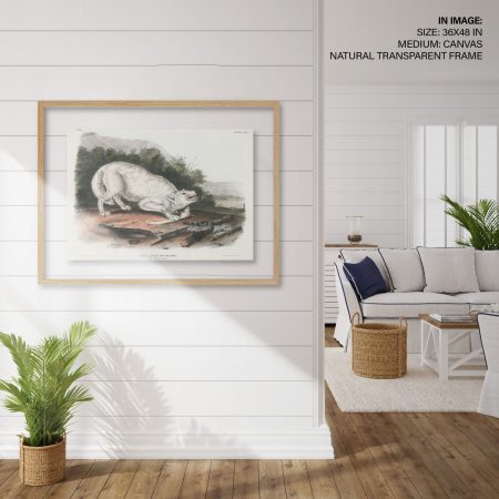 Hampton,Style,Living,Room,Interior,With,Frame,Mockup,,3d,Render