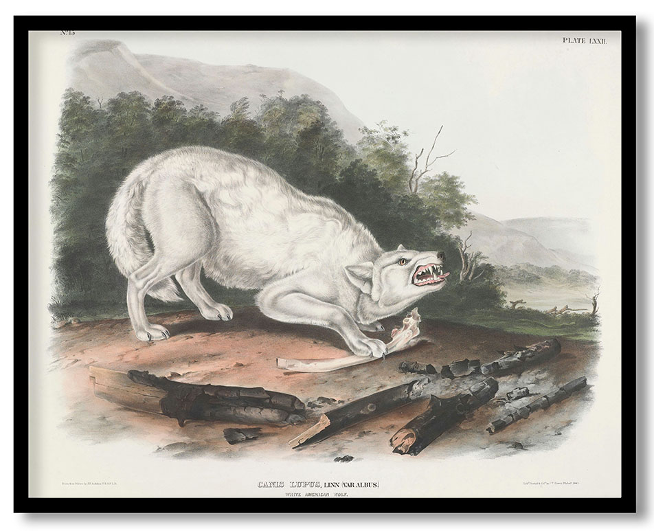 HGGL-ANC-01-092.jpg