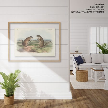 Hampton,Style,Living,Room,Interior,With,Frame,Mockup,,3d,Render